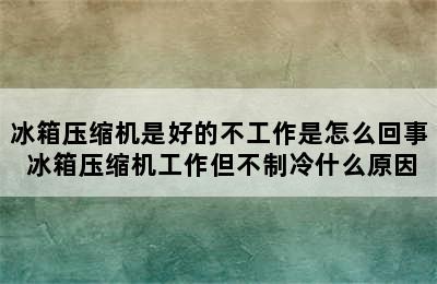 冰箱压缩机是好的不工作是怎么回事 冰箱压缩机工作但不制冷什么原因